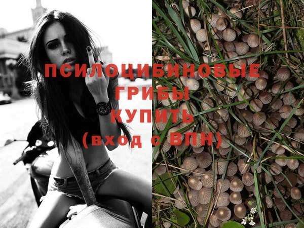не бодяженный Касимов