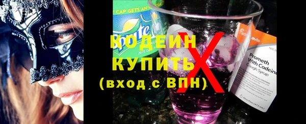 СК Каменка